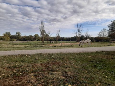 photo no. 13