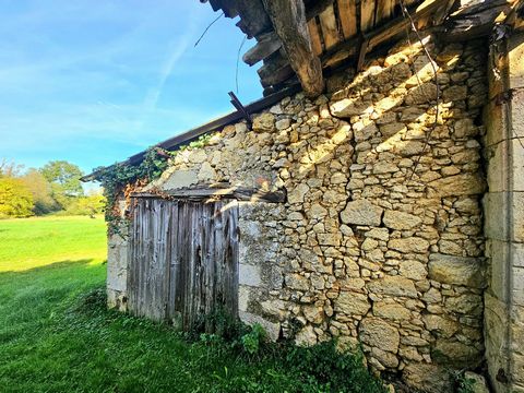 photo no. 15