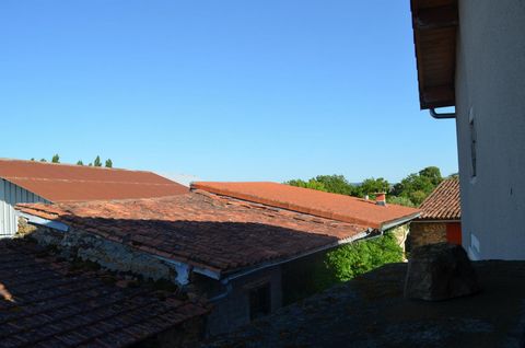 photo no. 11
