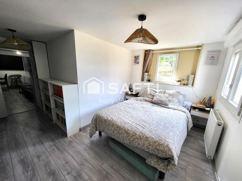 photo no. 12