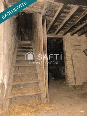 photo no. 5