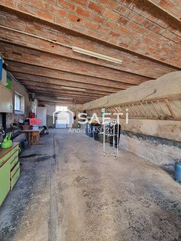 photo no. 14