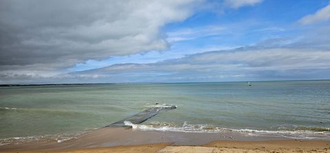 photo no. 13