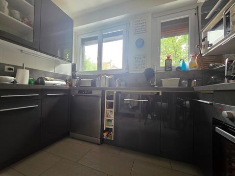 photo no. 14