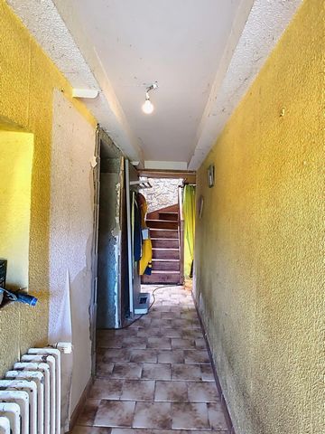 photo no. 6