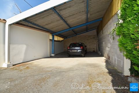photo no. 2