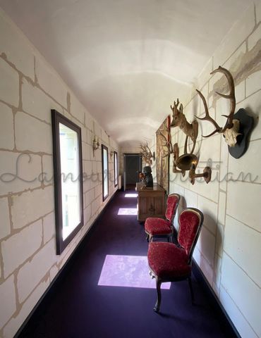 photo no. 11
