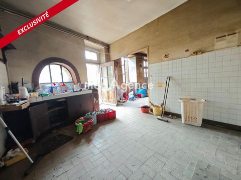 photo no. 10