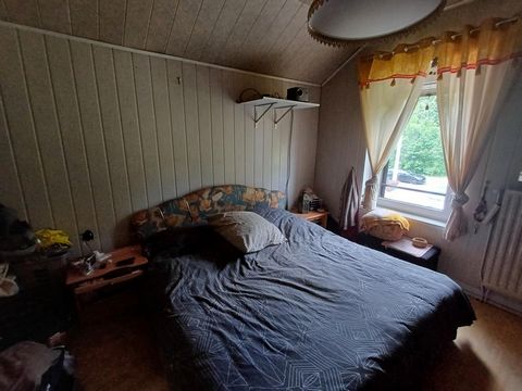 photo no. 12