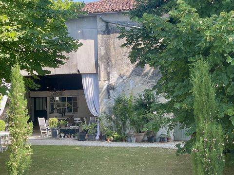 photo no. 11