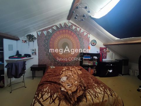 photo no. 10