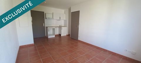 photo no. 14
