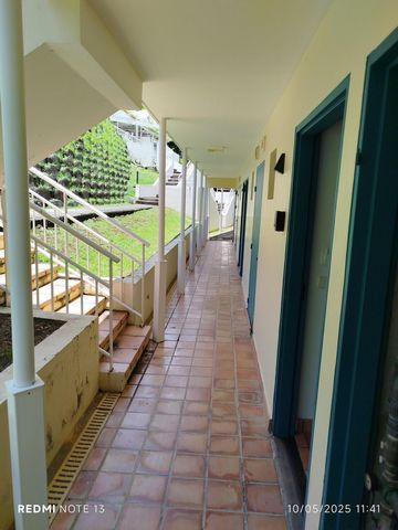 photo no. 6