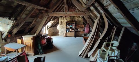 photo no. 11