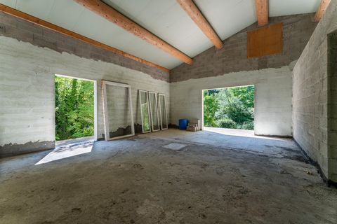 photo no. 8