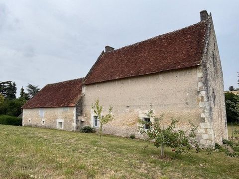 photo no. 12