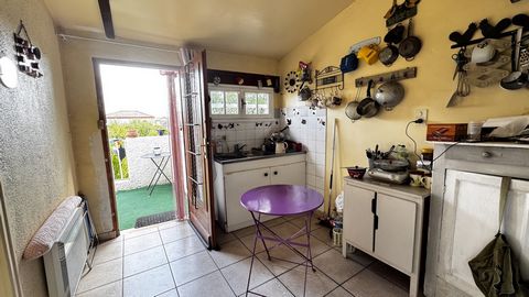 photo no. 15