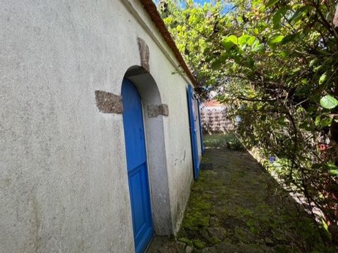 photo no. 5