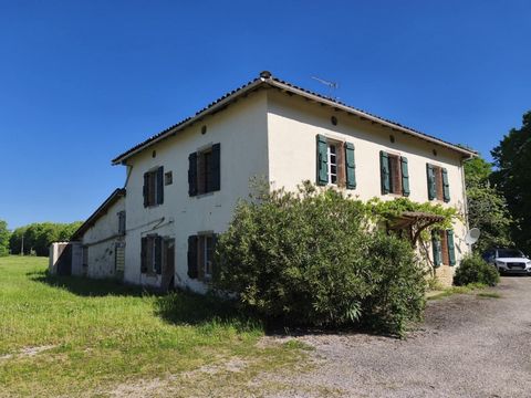 photo no. 17
