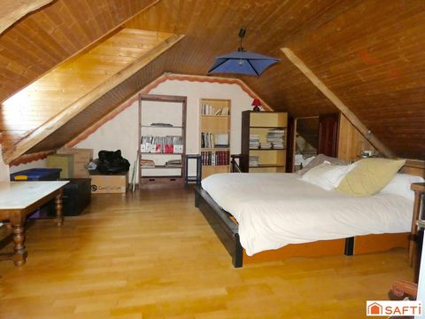 photo no. 11
