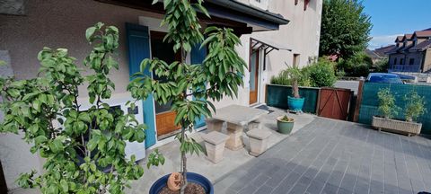 photo no. 7