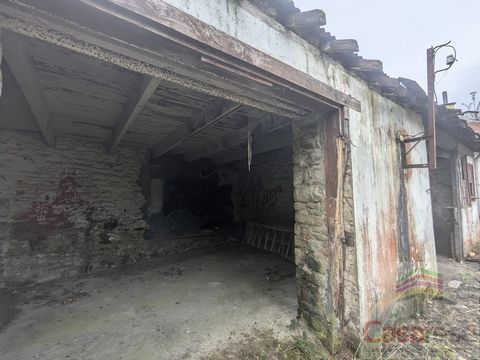 photo no. 2
