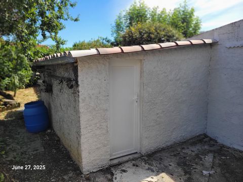 photo no. 12