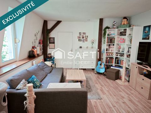 Appartement 2 pièces au cœur de Sarrebourg