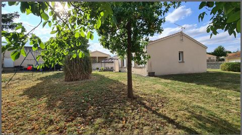 photo no. 15