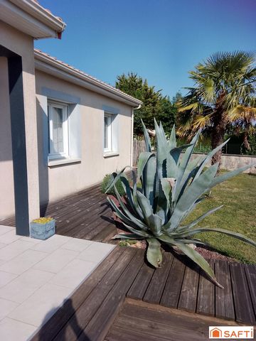photo no. 14