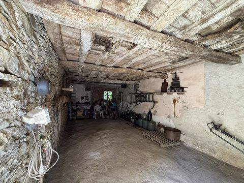 photo no. 16