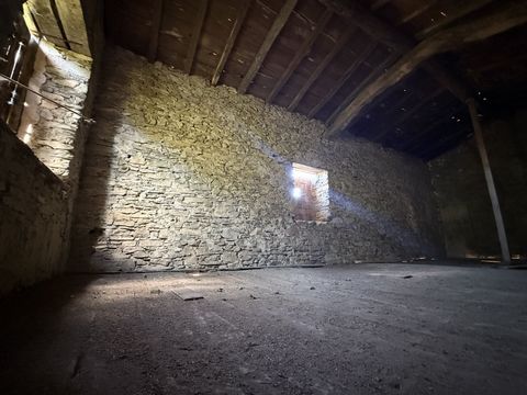 photo no. 17