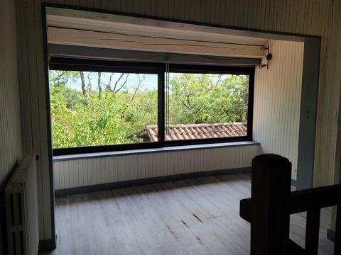 photo no. 8