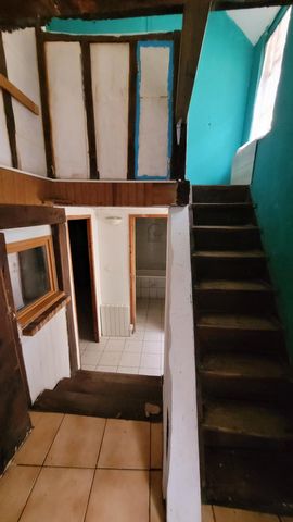 photo no. 6