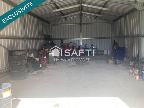 photo no. 14