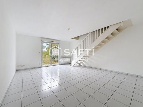 photo no. 2