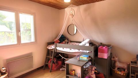 photo no. 12