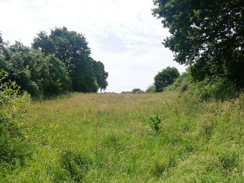 photo no. 17
