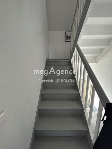photo no. 8