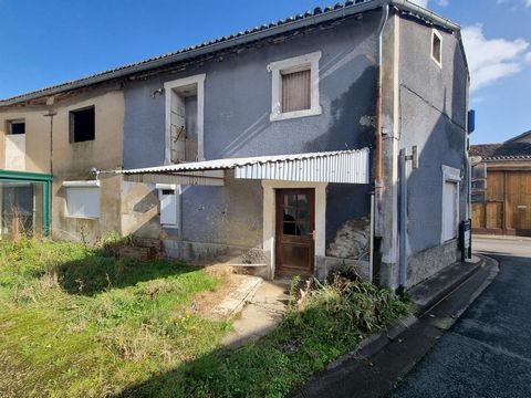 photo no. 6