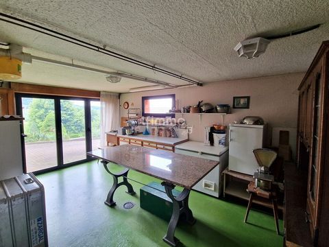 photo no. 2