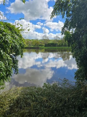 photo no. 19