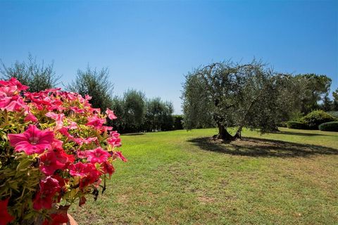 Reside amid utter comfort in this rustic farmhouse in the Italian Castelfiorentino for a wonderful holiday with the family. There is room for 7 people, thanks to 3 bedrooms and 2 bathrooms. Moreover, a shared swimming pool, a terrace and a garden wil...