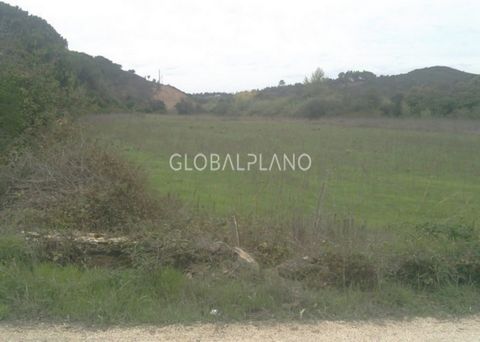 Land with 3.5 hectares, located along the national road, with ruin, has area of 187.5sqm. Agricultural land with 1.4 hectares, Just 10 km from the beach of Arrifana.