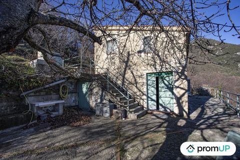 Finally of course the courtyard on a plot of 5000m ² promises you hours and hours of contemplation. It is impossible to get tired of watching nature evolve with the seasons. Finally, note that to do your shopping, savings are possible because the hou...
