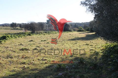 Land with 2 hectares with urban area, possibility of construction of 200m2. Well located, easy access, with panoramic views under the beautiful village of Alandroal. Fully fenced property, part of it walled, with stone construction walls. Fertile lan...