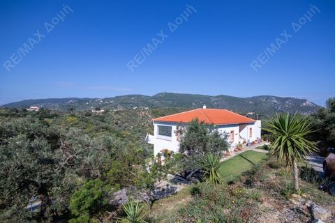 Villa for sale on olive grove land 4.000 sq. m on the beautiful island of Skiathos. Fully furnished villa in ideal location for a relaxing life style. Top part of villa large lounge with open plan kitchen. Access to balcony all around villa. Two bedr...