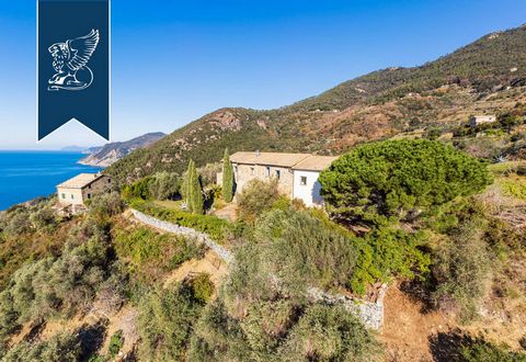 In the Cinque Terre area, there is this 19th-century farmhouse for sale in a nice panoramic position by the sea, perfect for those who want to spend a holiday immersed in nature, ideal for hiking enthusiasts and for those who want to relax in absolut...