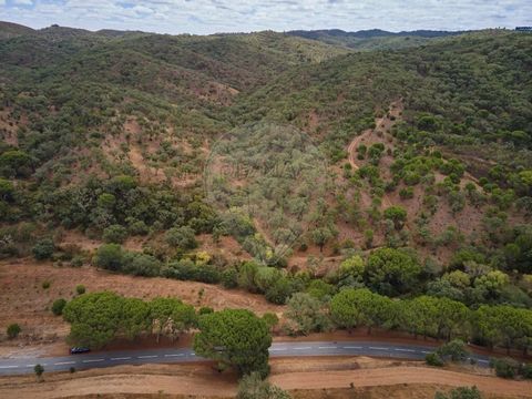 Courela da Ribeira est une terre rustique d’une superficie de 22 625 ha. Forêt de chênes-lièges avec rendement en liège. Faisabilité de la construction de 400 m2/ha pour le tourisme et l’habitat paysan (sous réserve de confirmation par les autorités ...