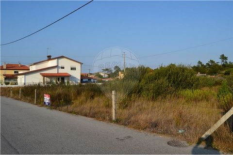 Located in the area of Torreira beach, with 21 meters of frontage, with a total of 2686 square meters. If you have the dream of building your house in a calm and pleasant way, close to the estuary and the sea, don't miss this opportunity! We are avai...
